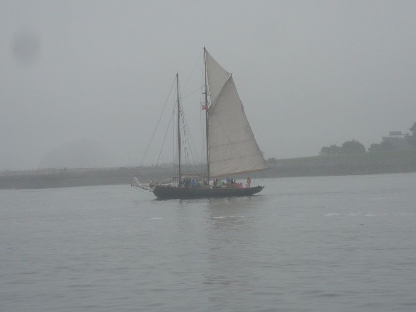 White Sail Boat